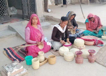 Forest to Fashion Shift