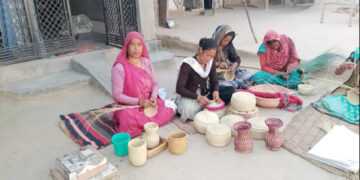 Forest to Fashion Shift