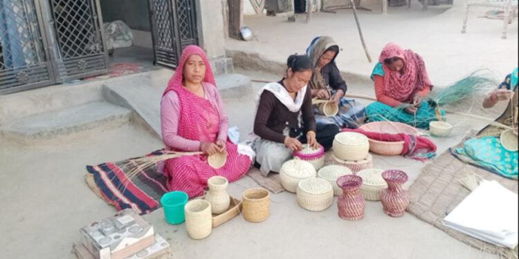 Forest to Fashion Shift