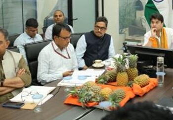 India launches $28.4 million ‘Queen Pineapple’ mission to boost Tripura exports