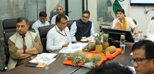 India launches $28.4 million ‘Queen Pineapple’ mission to boost Tripura exports